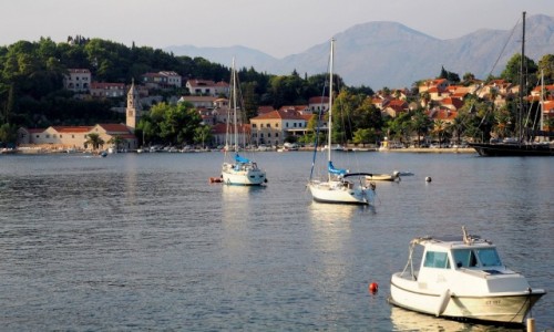 Zdjecie CHORWACJA / Poudniowa Dalmacja / Cavtat / w Cavtacie...