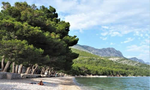 Zdjecie CHORWACJA / Dalmacja / Riviera Makarska / sodki smak wakacji...