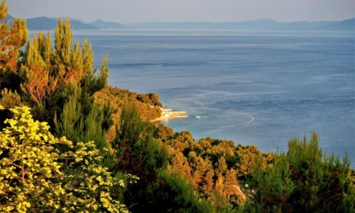 Zdjęcie CHORWACJA / Riviera Makarska / Strinj / lubię spojrzeć z góry na Adriatyk...