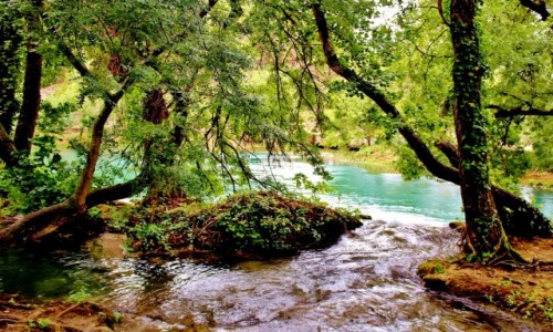 Zdjcie CHORWACJA / Dalmacja / Park Narodowy Krka / Park Narodowy Krka