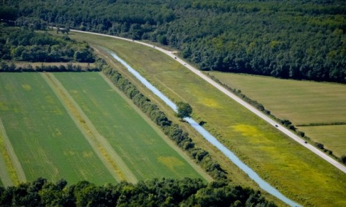 Zdjęcie CHORWACJA / - / Motovun / Trufla Mama