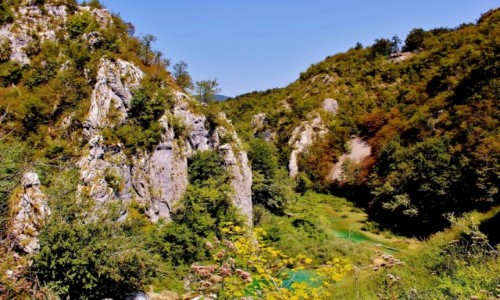 Zdjęcie CHORWACJA / Żupania Licko-Senjska / Jeziora Plitvickie / Park Narodowy Jezior Plitvickich