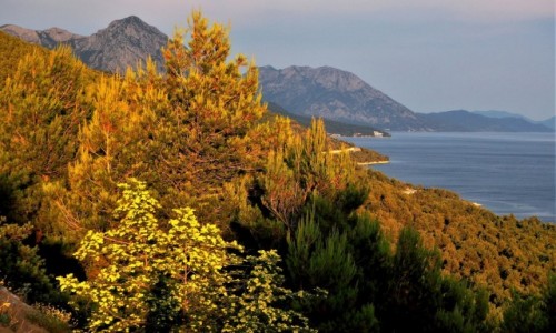Zdjecie CHORWACJA / Riviera Makarska / Strnj / w mojej gowie wci lato...