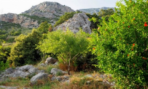 Zdjecie CHORWACJA / Riwiera Makarska / Strnj / kroczc przez skaliste Biokovo...