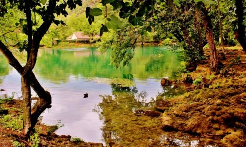 Zdjecie CHORWACJA / Dalmacja / Park Narodowy Krka / Park Narodowy Krka