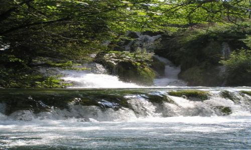 Zdjęcie CHORWACJA / plitwice / plitwice / plitwice