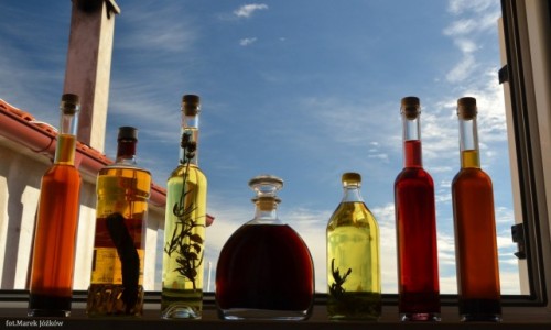 Zdjęcie CHORWACJA / Wyspa Ugljan / Poljana / Chorwackie nalewki