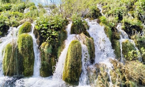 Zdj�cie CHORWACJA / �upania Licko-Se�ska / Park Narodowy Jezior Plitwickich / Kaskady