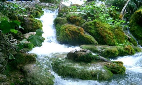 Zdjecie CHORWACJA / brak / plitvickie jeziora / plitvice