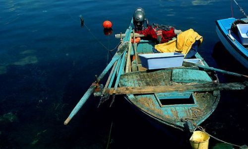 Zdjecie CHORWACJA / pnocna Dalmacja / Biograd / bardzo kolorowa d rybacka