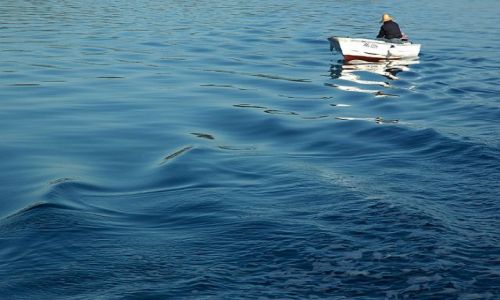 Zdjecie CHORWACJA / pnocna Dalmacja / Biograd / rybak, poranek na morzu