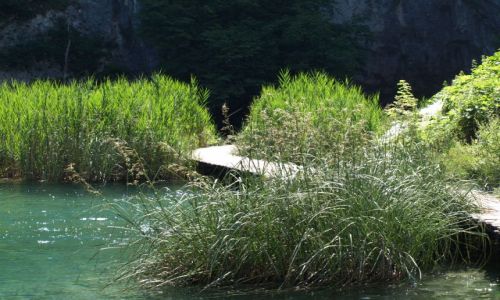 Zdjcie CHORWACJA / plitvickie jeziora / plitvice / zawie szlaki...