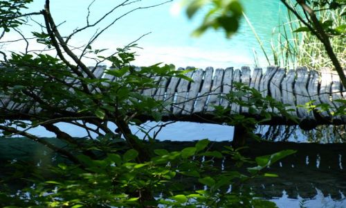 Zdjcie CHORWACJA / plitvickie jeziora / plitvice / ... ale proste kadki...