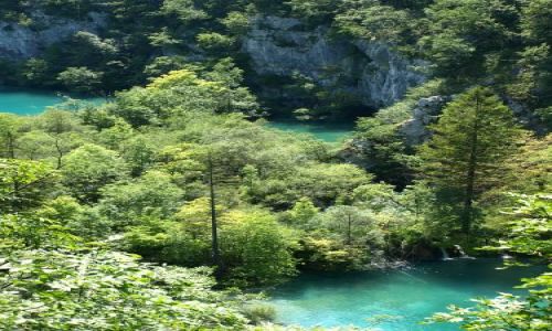 Zdjcie CHORWACJA / plitvickie jeziora / plitvice / woda na dole...