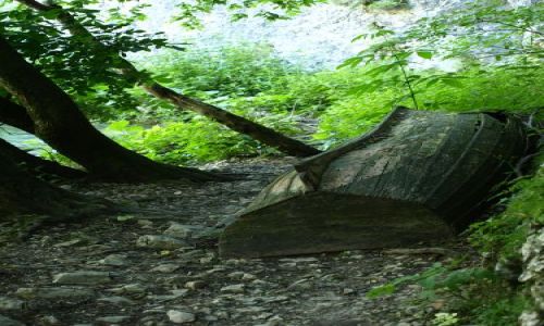 Zdj�cie CHORWACJA / plitvickie jeziora / plitvice / z tego transportu nie da�o si� skorzysta�