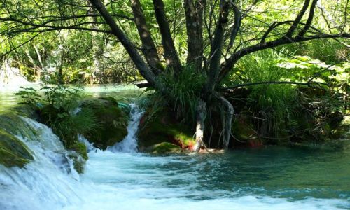 Zdjcie CHORWACJA / plitvickie jeziora / plitvice / a chce si wej