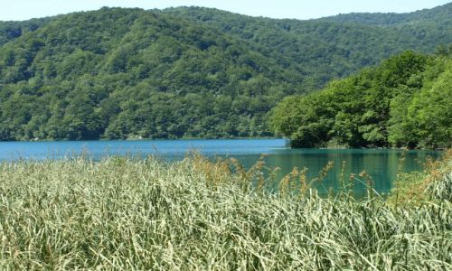 Zdjecie CHORWACJA / plitvice / park / widoczek