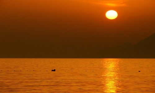 Zdjecie CHORWACJA / Dalmacja / Makarska / zachód