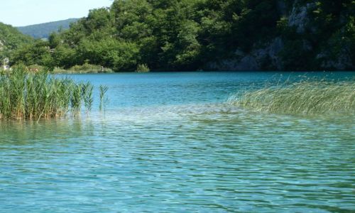 Zdjecie CHORWACJA / plitvice / park / ...