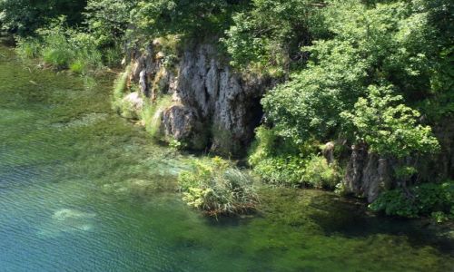 Zdjecie CHORWACJA / plitvice / park / jeszcze jeden rzut oka