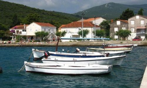 Zdjęcie CHORWACJA / brak / Drace / Łodzie w porcie Drace