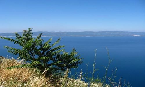 Zdjęcie CHORWACJA / Dalmacja / Niedaleko Breli / Wyspa Pag widziana z Jadranskiej Magistrali