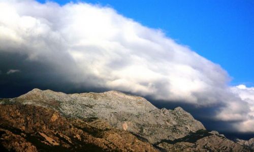 Zdjecie CHORWACJA / Dalmacja / Pisak / Croatia
