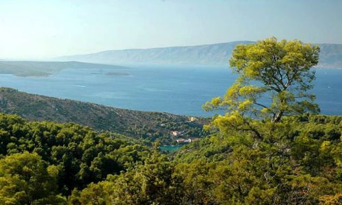 Zdjecie CHORWACJA / Hvar / Hvar / wyspa Hvar