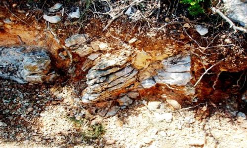 Zdjęcie CHORWACJA / Plitwickie Jeziora / teren parku narodowego / Ziemia i skałki