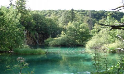 Zdjecie CHORWACJA / Plitvice / Park Narodowy Jezior Plitwickich / Plitvickie krajobrazy (2)