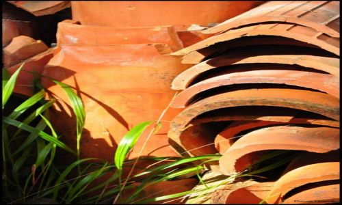 Zdjęcie CHORWACJA / Dalmacja / Lokrum / Make it orange ...