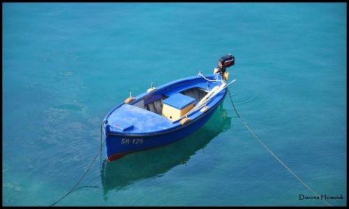 Zdjecie CHORWACJA / Dalmacja / Mljet / Out of the blue ...