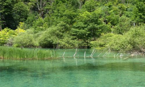 Zdjecie CHORWACJA / plitvice / plitvice / ley?