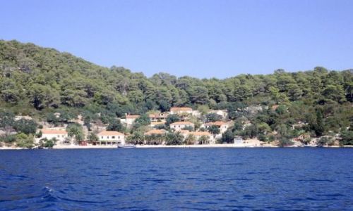 Zdjęcie CHORWACJA / Dalmacja / wyspa Mljet / Pristaniste - Park Narodowy Mljet