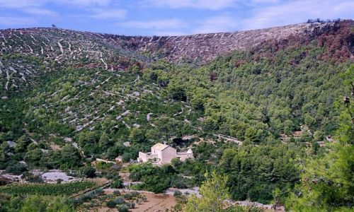 CHORWACJA / Dalmacja / wyspa Hvar / ocalałe siedlisko