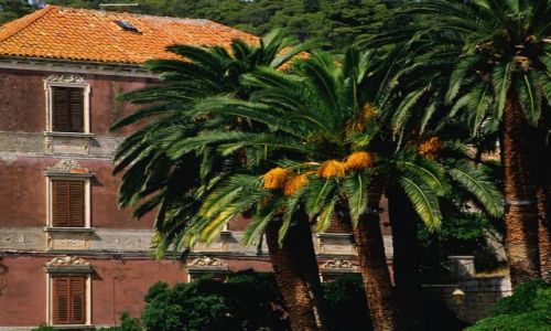 CHORWACJA / Dalmacja / wyspa Hvar / Hvar