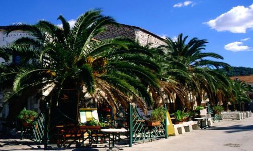 Zdjecie CHORWACJA / Dalmacja / wyspa Hvar / Stari Grad