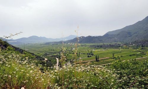 Zdjęcie CHORWACJA / - / Dalmacja-okolice Splitu / Po drodze