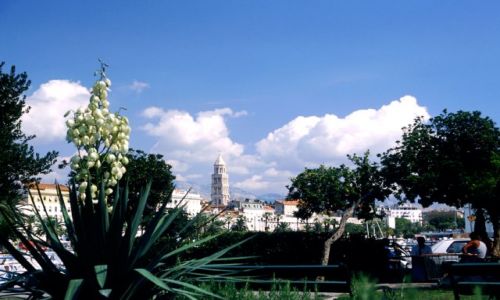 CHORWACJA / Dalmacja / Split / Split