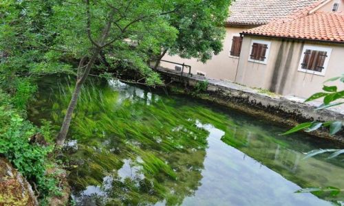Zdjęcie CHORWACJA / Dalmacja Środkowa / Park Narodowy Krk Skradin / W rzece