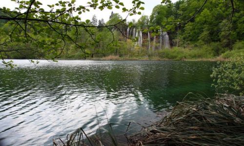 Zdjecie CHORWACJA / , położony w środkowej części kraju / Kompleks Jezior Plitwickich / Park Narodowy Jezior Plitwickich