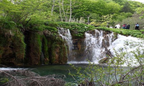Zdjecie CHORWACJA / Park narodowy Plitwice / Kompleks Jezior Plitwickich / Park Narodowy Jezior Plitwickich