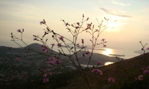 Zdjecie CHORWACJA / Dubrownik / Gra / widok