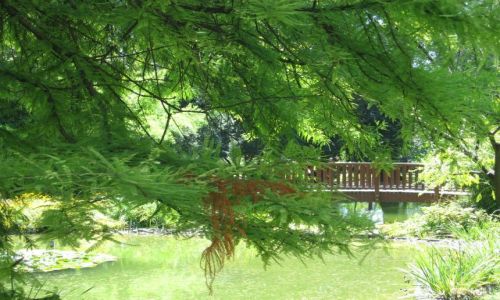 Zdjęcie CHORWACJA / - / Zagrzeb / Chwila westchnienia