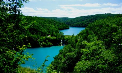 Zdjecie CHORWACJA / - / Plitvickie Jeziera / Plitvickie Jeziera