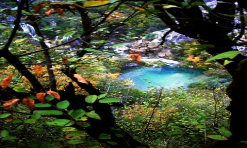 Zdjecie CHORWACJA / - / Plitvicke Jeziora / wypatrzone  wrd listowia