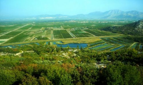 Zdjcie CHORWACJA / Dalmacja / Delta Neretwy / poletka