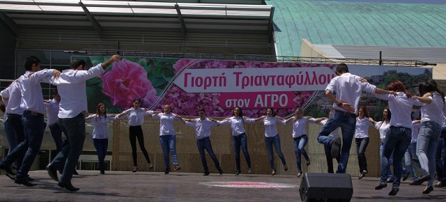 Zdj cia: Agros, Pitsilia, Taniec kwiatów, CYPR Zdj cia: Agros, Pitsilia, Taniec kwiatów, CYPR