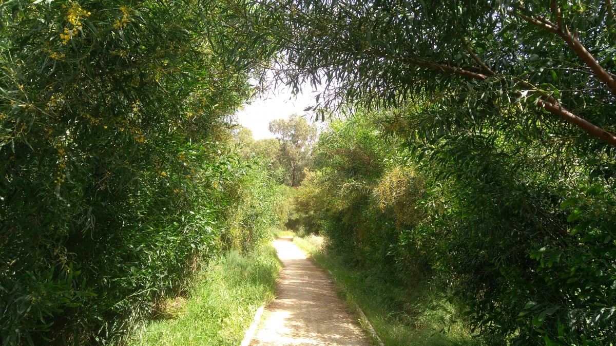 Zdjęcia: ., Larnaka, W drodze do akweduktu, CYPR Zdjęcia: ., Larnaka, W drodze do akweduktu, CYPR