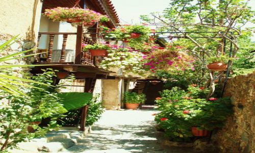 Zdjecie CYPR / Troodos / Galata / Idylla